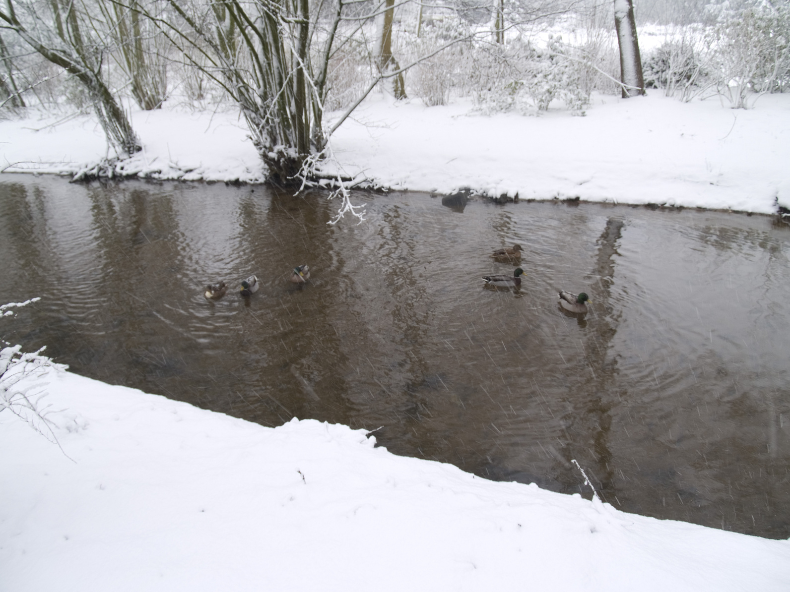 Fluss und Schnee