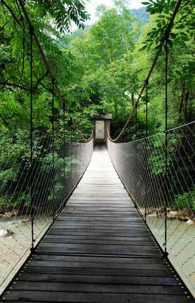 Hängebrücke